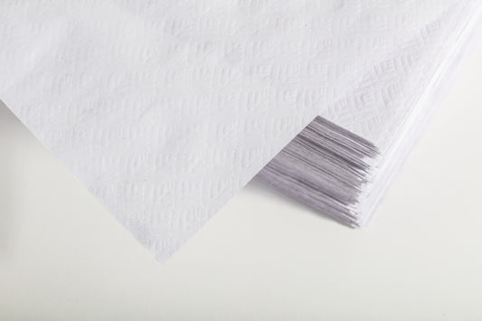 Toalha de Mesa Individual Renova EASY 30x43 — Higiene e Praticidade