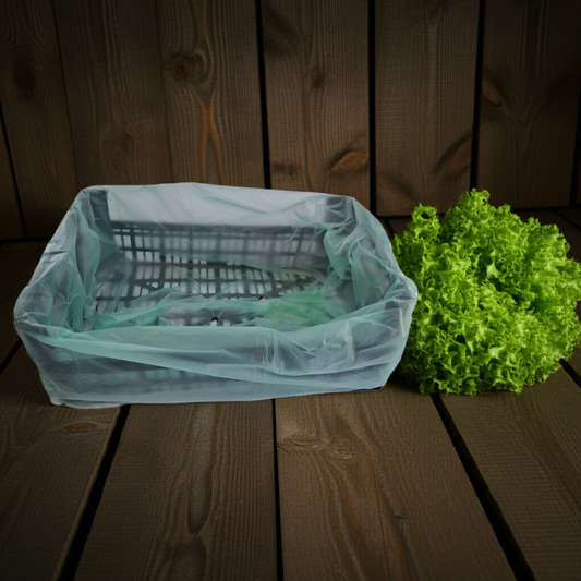 Saco para Alface — Conservação de Hortícolas em Caixas