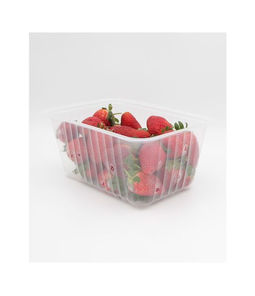 Caixa Plástico para Fruta | Conserva Morangos e Fruta Fresca