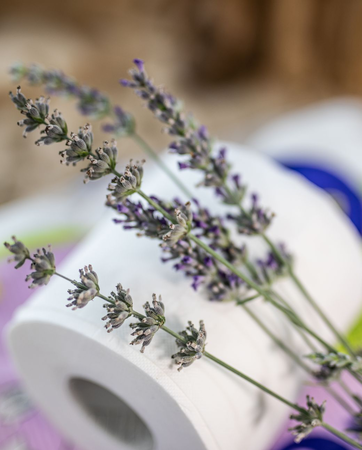ph Renova Skincare